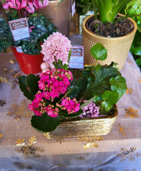 Livraison fleur à domicile à Gignac