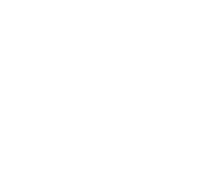LES FLEURS DE MILICIA