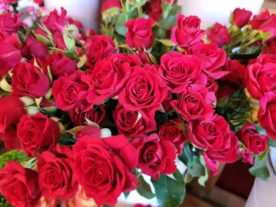 Saint Valentin 2023
