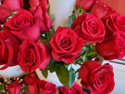 Saint Valentin 2023