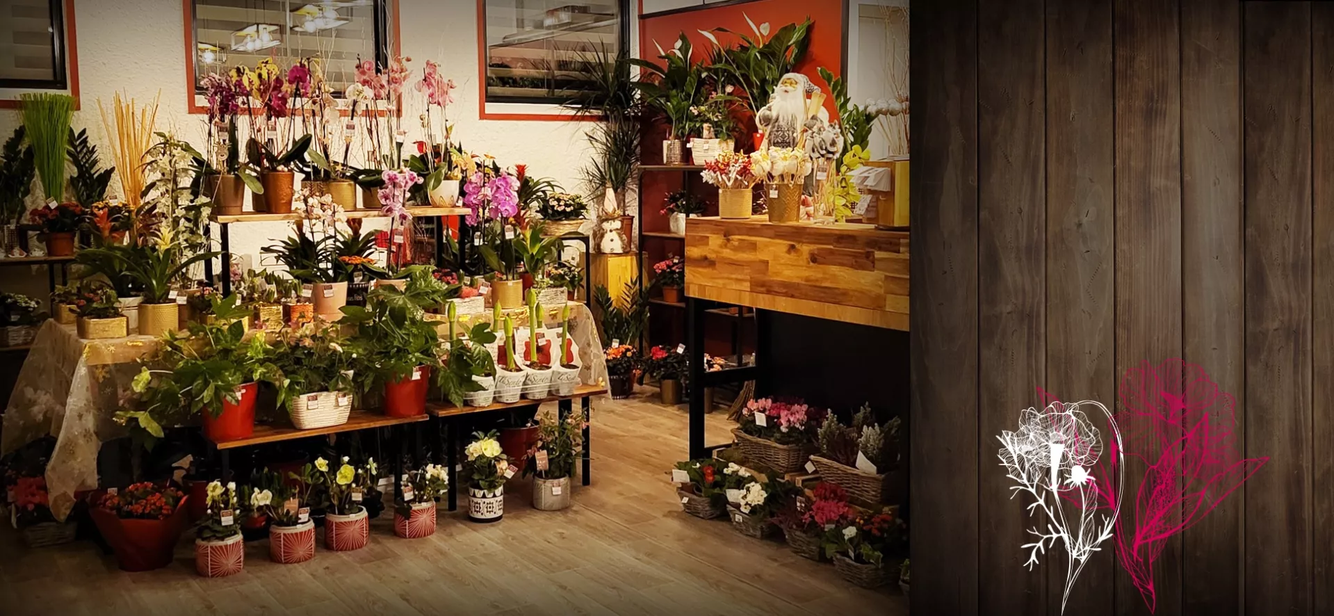 LES FLEURS DE MILICIA